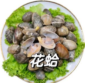 生蚝扇贝花甲分别长什么样子_鲜美营养，多样做法！