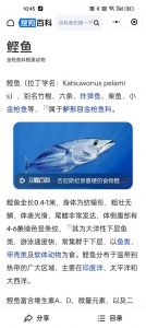鲣鱼就是金枪鱼吗_外观口感营养文化差异