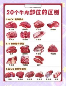 牛柳肉是牛的哪个部位_背中里脊肉，细嫩无脂，煎炒烤皆宜