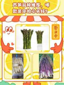 芦笋一年四季都有吗_春吃芦笋，鲜嫩营养好！