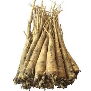 狗宝咸菜和桔梗是一样的吗_牛蒡做狗宝咸菜，非桔梗