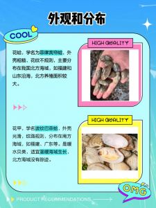 白贝和花甲的区别_白贝花甲怎么分？看外观肉质做法！