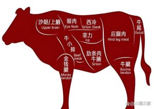 牛排带血水是几分熟_牛排红汁是肉蛋白，几分熟看颜色手感，放心享受美味！