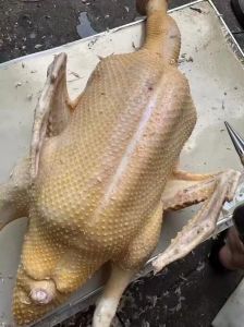 杀鸭放什么容易脱毛_烫盐灌酒神器，轻松高效