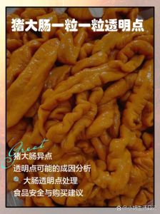 肥肠和大肠的区别_肥肠大肠区别大，烹饪营养各不同