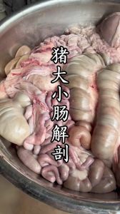肠头和肥肠的区别_肠头嫩适合炒凉拌，肥肠香醇炖着吃