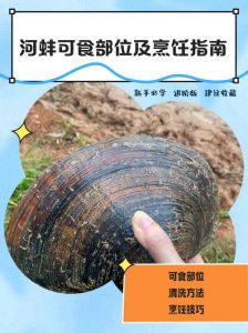 河蚌与河蚬区别_河蚌与河蚬的区别
