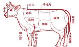 潮汕牛部位图_潮汕牛肉火锅涮肉时间表