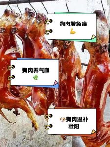 狗肉一般是什么狗_各种犬肉风味不同，适合不同烹饪方式