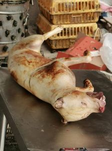 狗肉又称什么肉_香肉与伦理的平衡