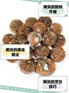 刺贝和扇贝的区别图片_外观口感营养大不同