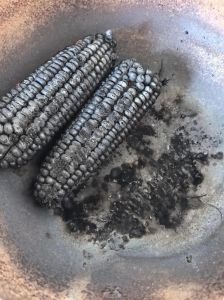 玉米纤维烧后是什么样子的_环保易降解，燃烧有清香