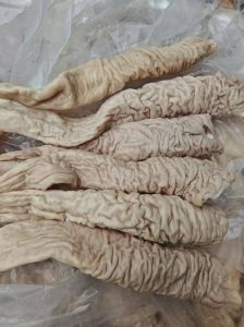猪的大肠头是肛门吗_厚实Q弹，卤烧皆宜