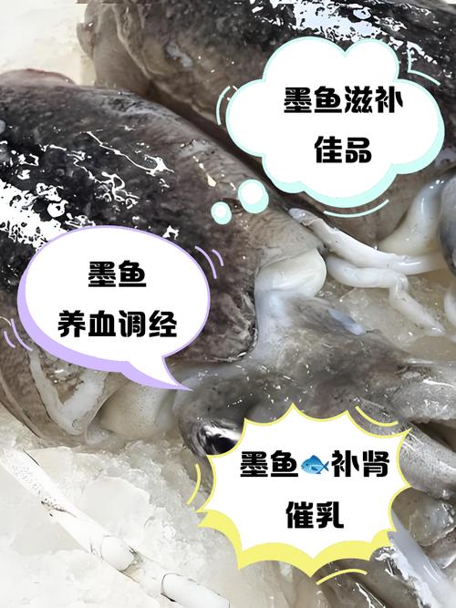 墨鱼又称乌贼吗_墨鱼乌贼一家亲，10腕喷墨变色多