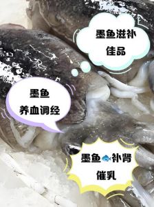 墨鱼又称乌贼吗_墨鱼乌贼一家亲，10腕喷墨变色多