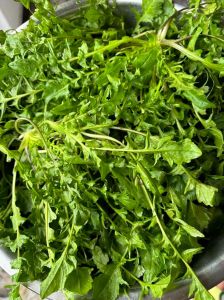 荠菜莲藕能一起包饺子吗_荠菜猪肉饺子，团圆聚财好滋味！