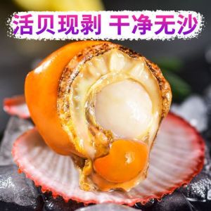扇贝带黄和不带黄的区别_扇贝黄是精华！营养丰富，新鲜优质
