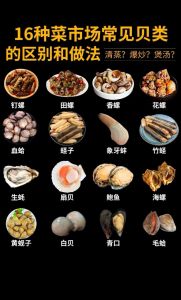 刺贝和扇贝的区别_口感营养大不同