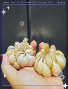 马来西亚肉骨茶的做法和材料_地道风味，简单易学！