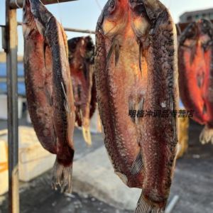 腌制整条草鱼的高清图_腌草鱼成腊鱼，冬日美味保长久