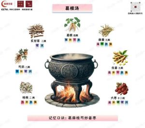 煨葛根的制作方法_葛根煨法止泻好，麦麸湿纸皆有效