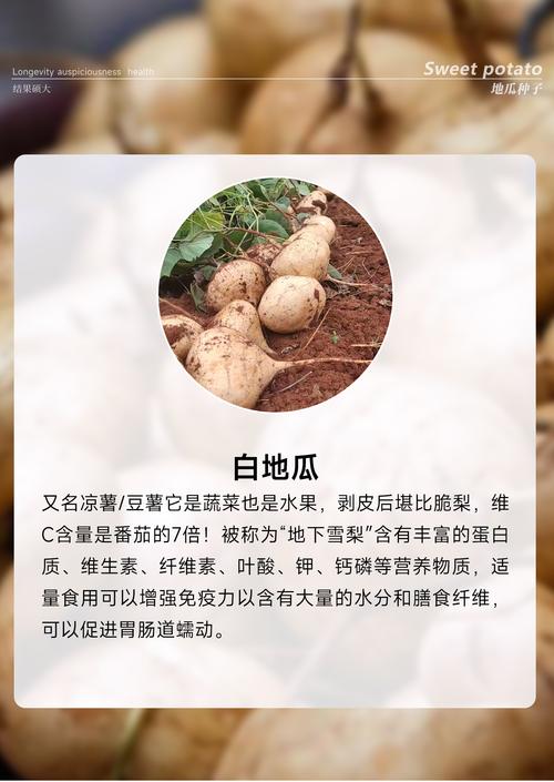 凉薯的100种做法大全_凉拌炒凉薯，夏日爽口美味！