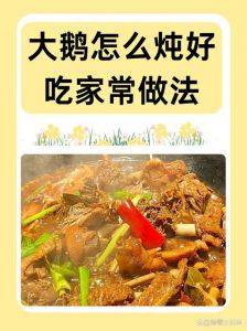 炖腊鹅的做法大全集_腊鹅预处理和美味家常做法