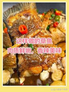 草鱼切鱼片的方法_去骨切片腌炸，简单又美味！