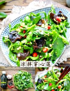 调莲菜的做法凉拌窍门_爽脆开胃，简单家常菜