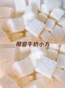 椰奶甜品的做法大全_自制港式饼甜品咖喱，简单美味！