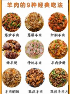 羊肉100种做法大全_清炖红烧火锅香，炖萝卜烤包子风味佳