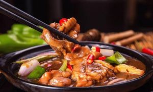 炖野鸡块的家常做法_去腥提鲜，砂锅慢炖正当时