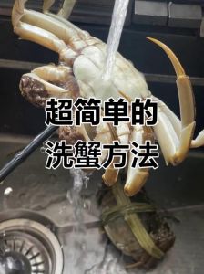 怎样清洗大闸蟹最简单的方法_大闸蟹清洗四步法，简单又干净！