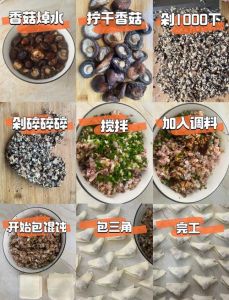 鲜肉小馄饨做法_自制馄饨冷冻法，方便又美味！