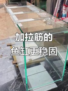 鱼缸拉筋最简单的做法图片_稳固与美观的关键