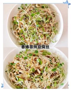 凉拌椿芽的做法_椿芽凉拌要快焯，锁香尝鲜好时节