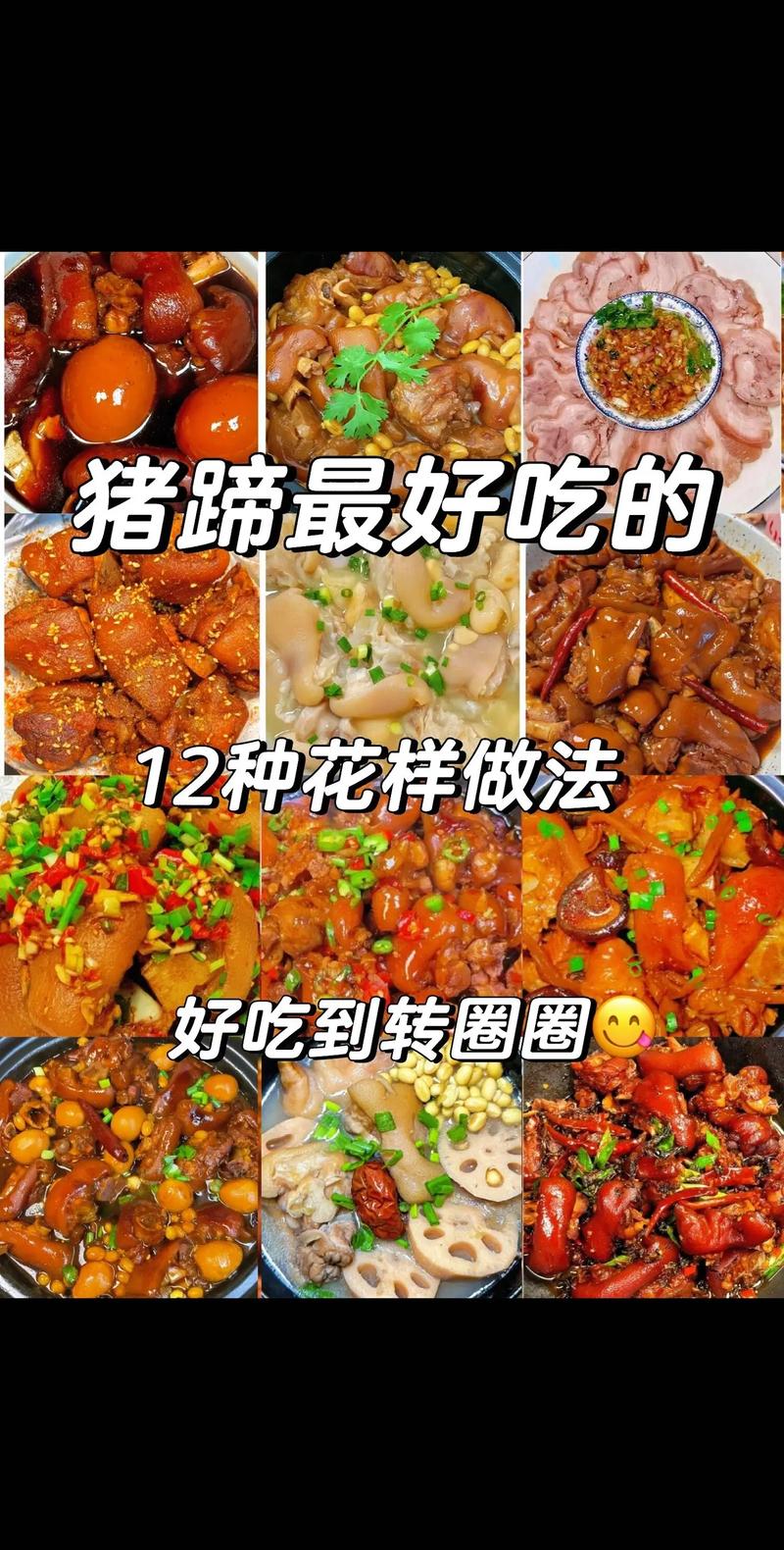 腊猪腿肉家常做法大全_清洗擦干炒调料，均匀腌制翻动晾，蒸炖炒配豆豉莲藕蒜苗