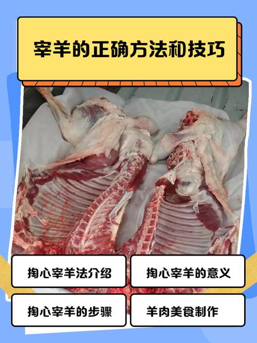 野生山羊肉做法大全_红酒焖羊肉，红烧羊肉香，清炖羊肉鲜，孜然烤羊肉辣