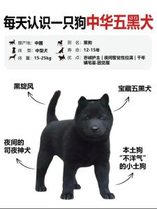 大黑狗汆肉最简单三个步骤图片_快烫冰水锁鲜味