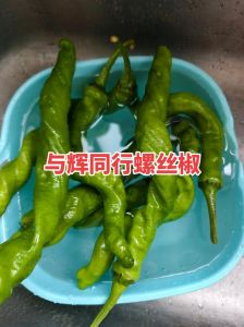 小螺丝椒与小螺丝椒的区别_外形口感产地的区别