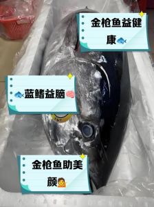 蓝鳍吞拿鱼和金枪鱼区别_蓝鳍吞拿鱼即金枪鱼，珍贵濒危需保护