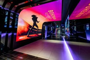 西瓜影院入口永久免费：探索夏日清凉的视听盛宴与趣味体验