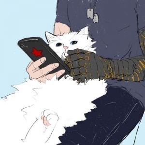盾冬是什么东西_古今文化符号的奇妙融合