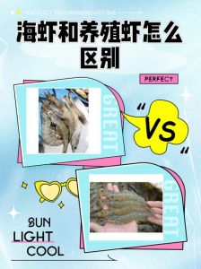 菜市场的养殖虾算海鲜吗_养殖虾算海鲜？营养口感不输海虾！
