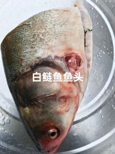 鱼头旁边的鱼鳍叫什么_鱼头旁边是什么鳍？胸鳍和腹鳍的作用！