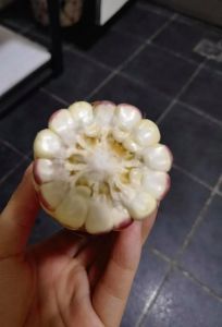玉米切开一圈是褐色的_玉米切圈发褐？看是否变质有妙招！