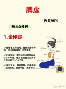 金银花露与双人瑜伽相融合的养生之道与实践方法