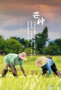 早稻成熟的季节是几月份_南方七月收早稻，北方九月熟