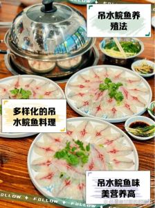 吊水脘鱼是淡水鱼吗_吊水脘鱼身份待考，长湖水库养殖新探