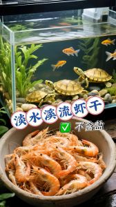 138的硬水可以养鱼龟虾吗_黑壳虾鱼用水质硬，钙镁好吸收，太硬太软都不好！